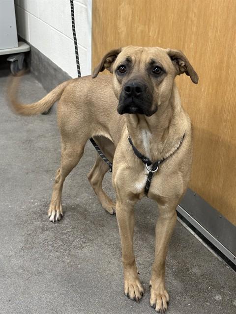 NOVA — thumbnail 2