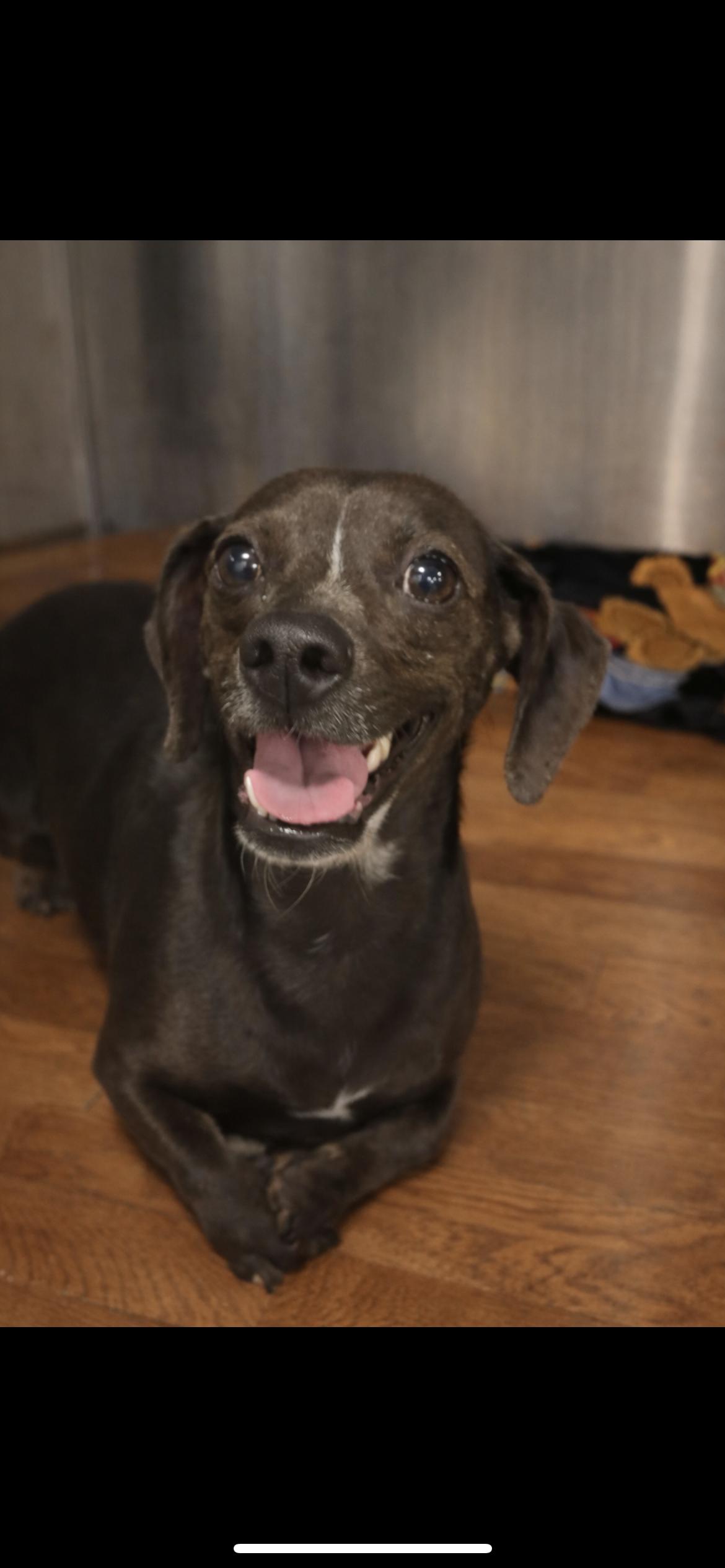 Drizelda thumbnail 5