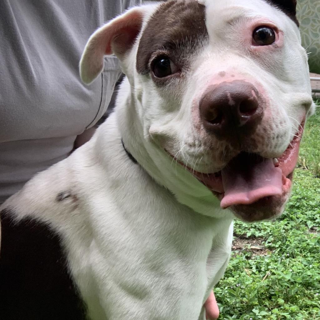 Volcano — thumbnail 2