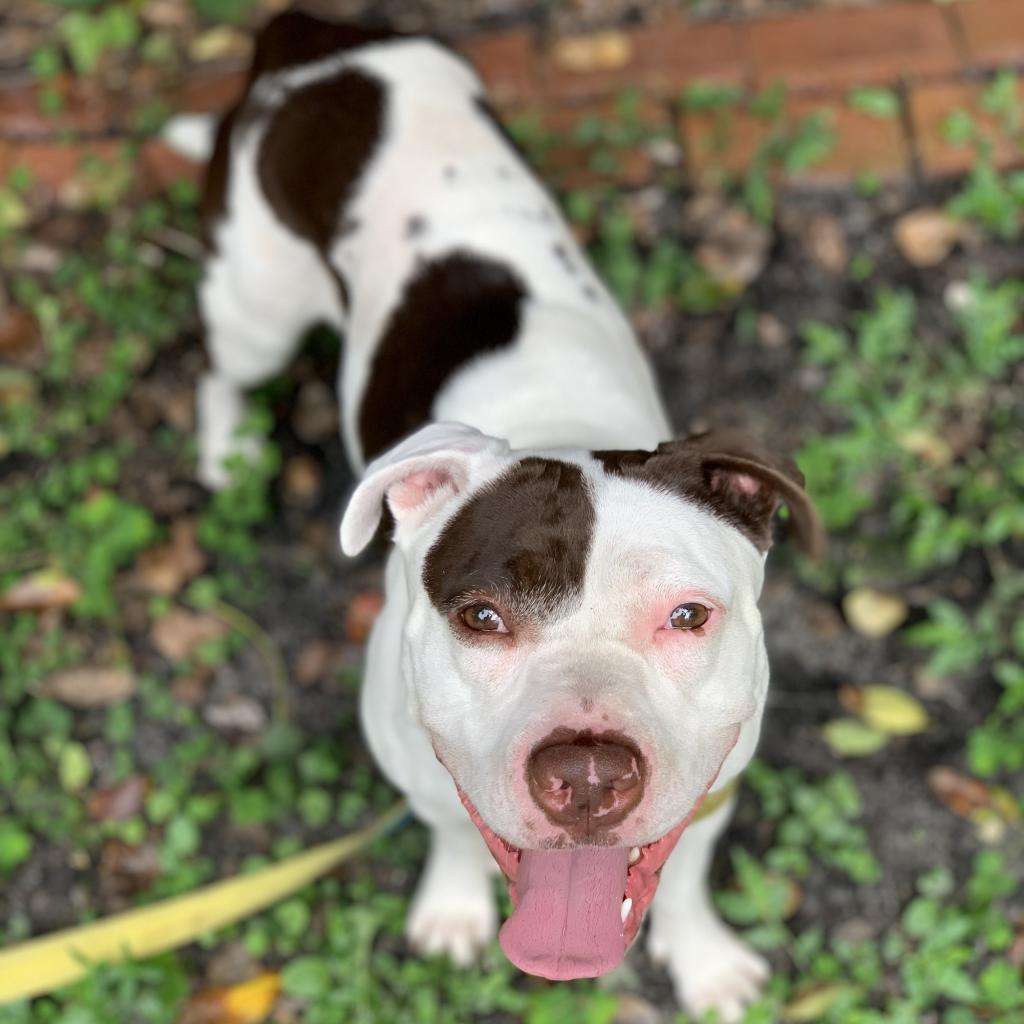 Volcano — thumbnail 3