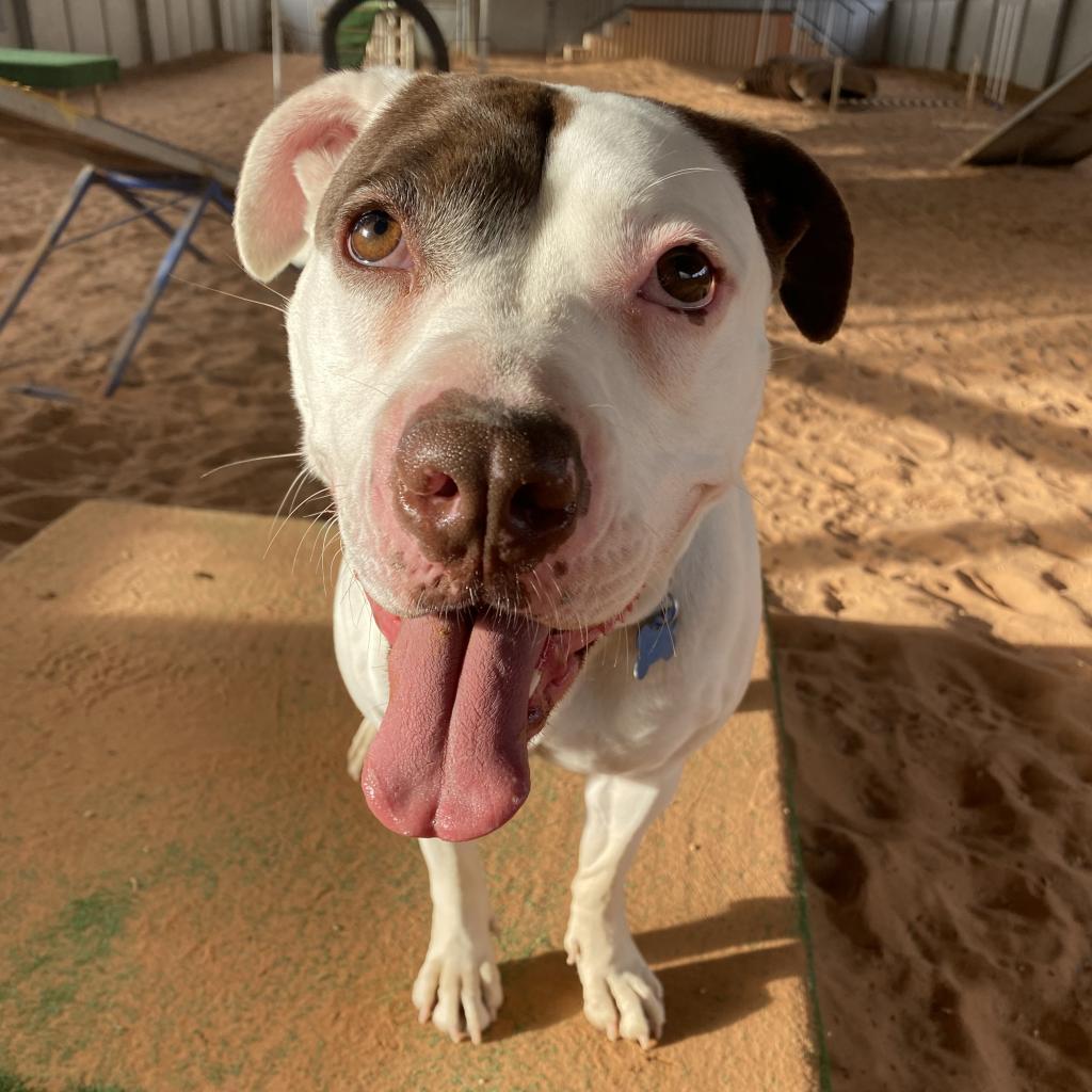 Volcano — thumbnail 4