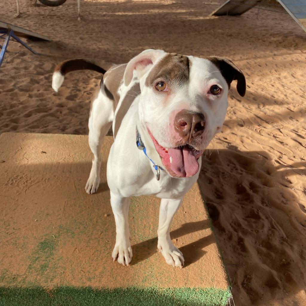 Volcano — thumbnail 6