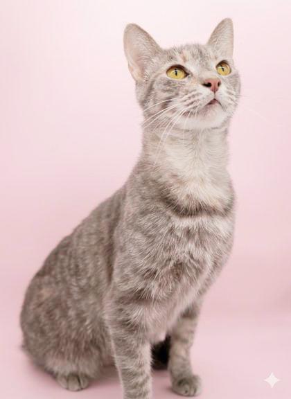 Sansa And Arya!  thumbnail 2