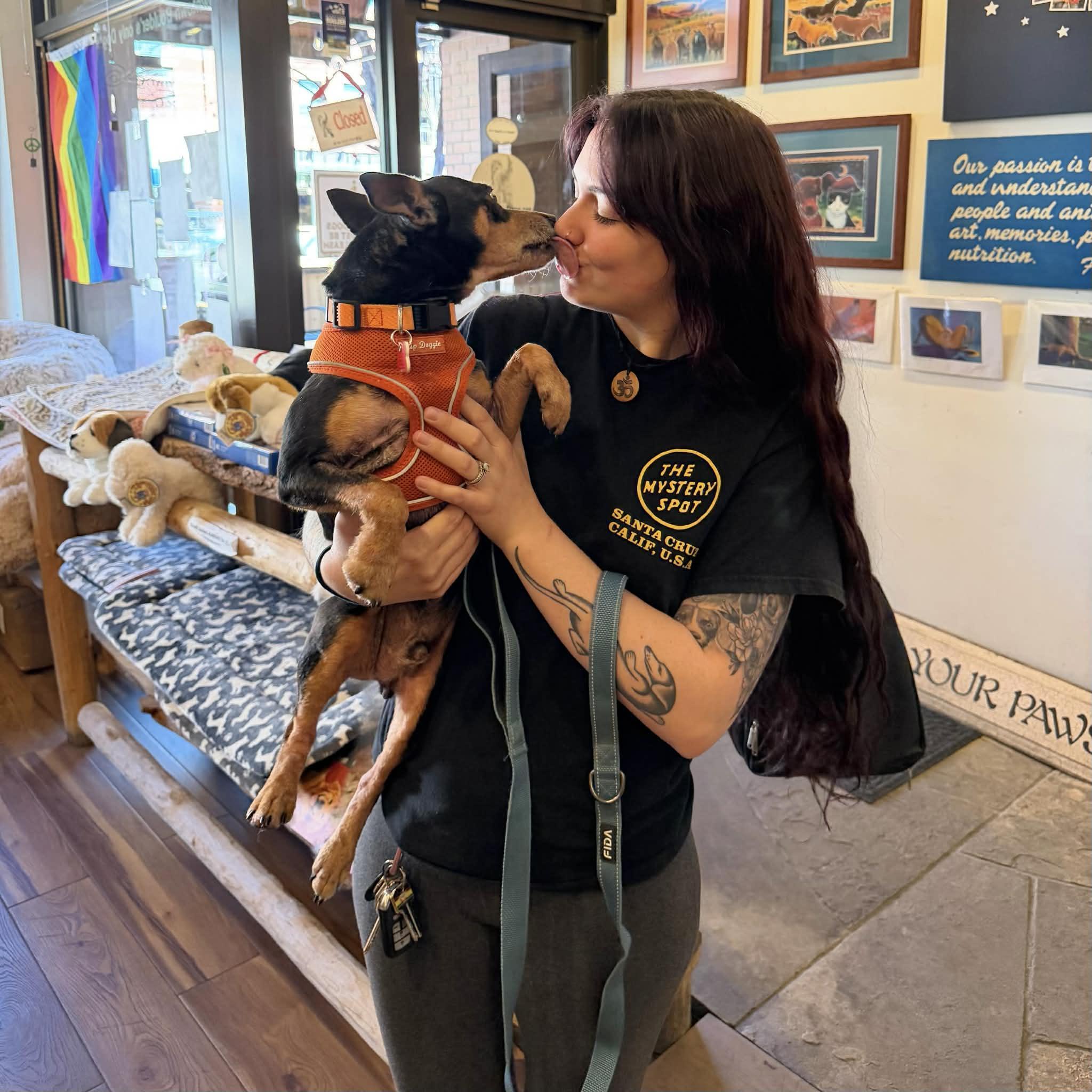 Enlarge TicTac, a ADOPTABLE mixed breed in Boulder, CO image 6/6