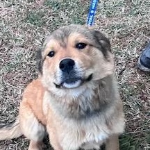 Daisy Duke — thumbnail 2