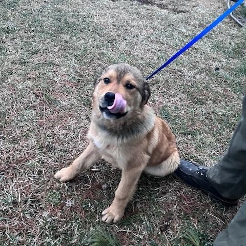 Daisy Duke — thumbnail 3