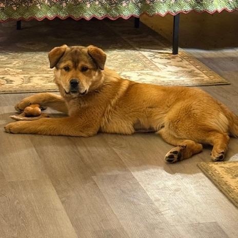 Daisy Duke — thumbnail 4