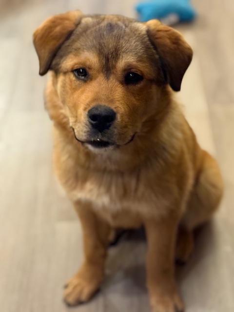 Daisy Duke — thumbnail 5