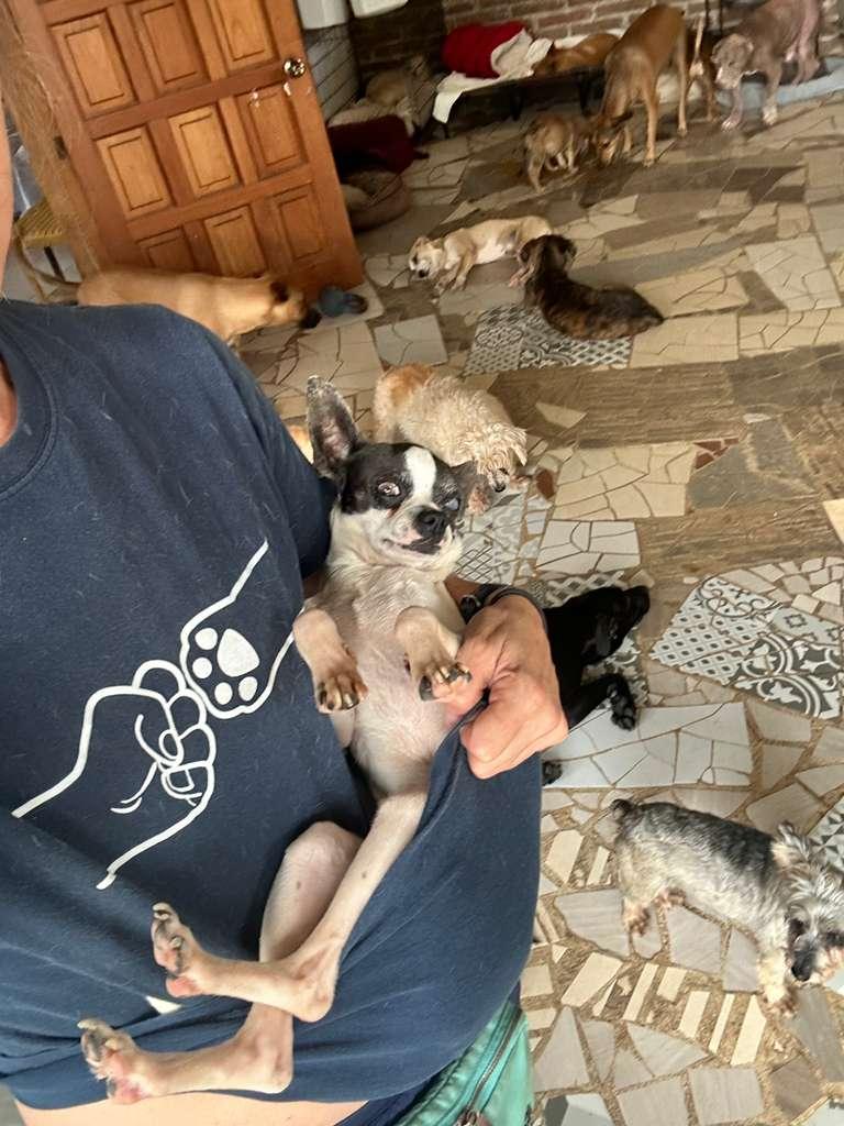 Raisin — thumbnail 2