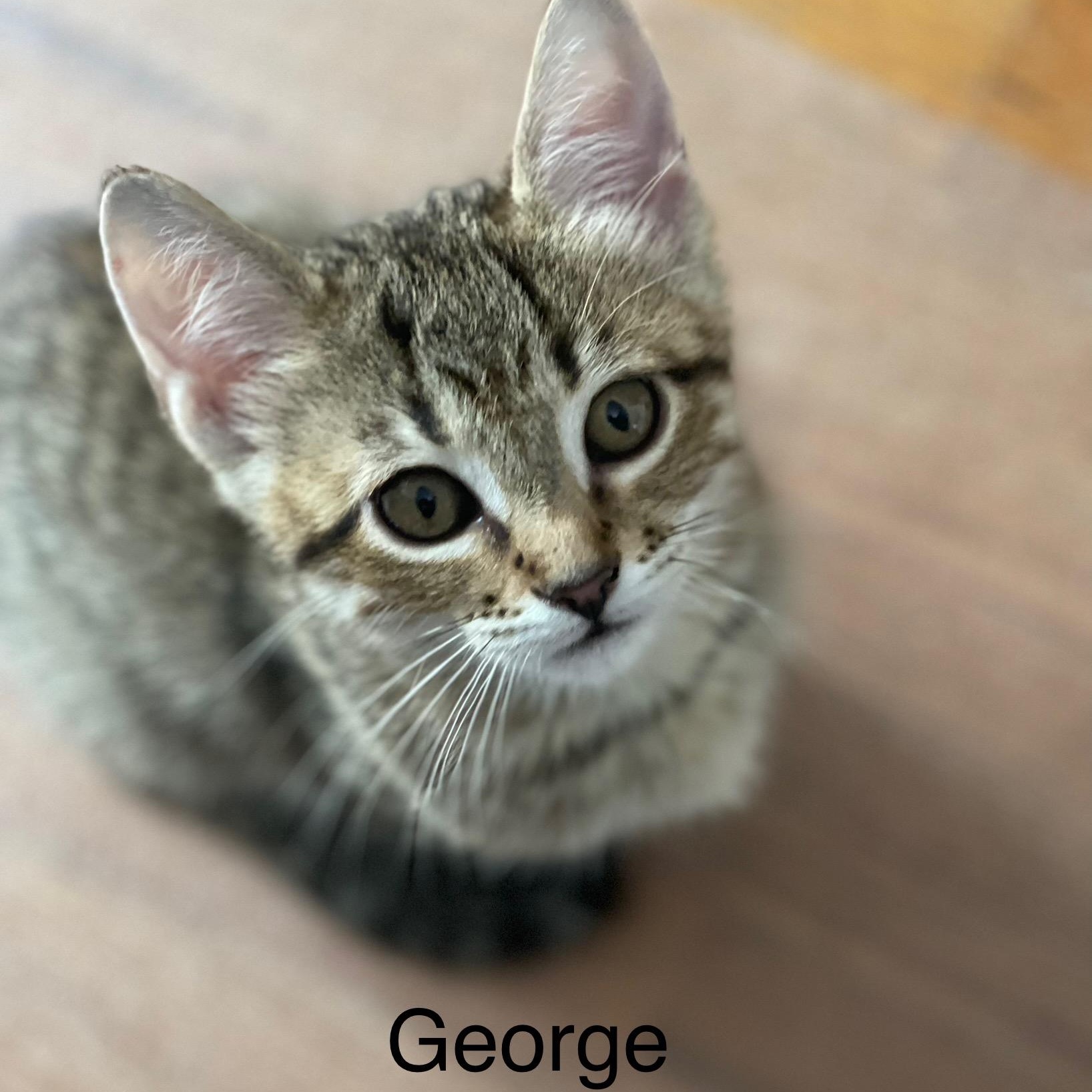George