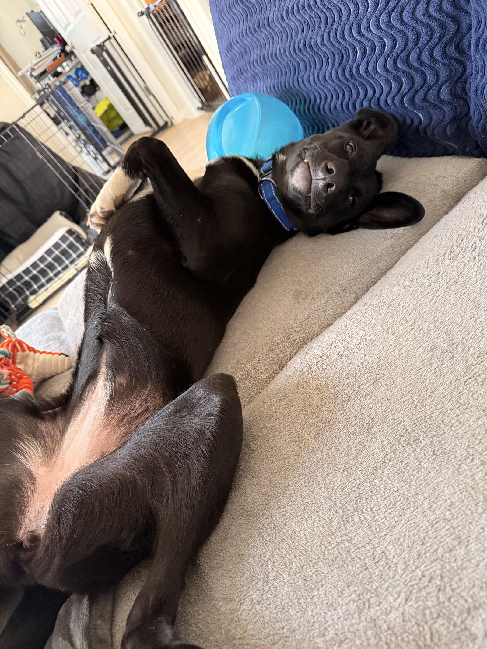 Gloria  The Sweetest