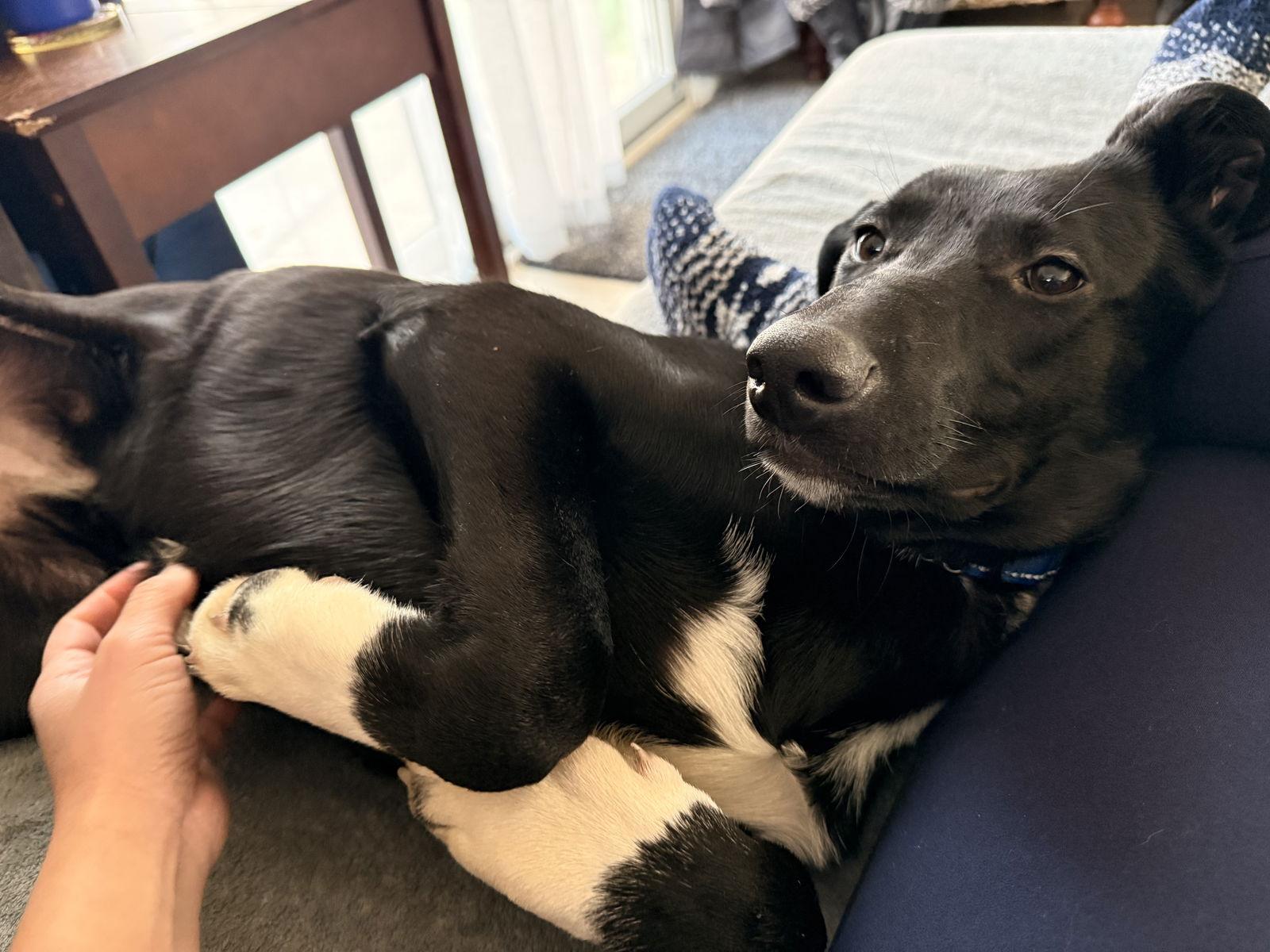 Gloria  The Sweetest thumbnail 2