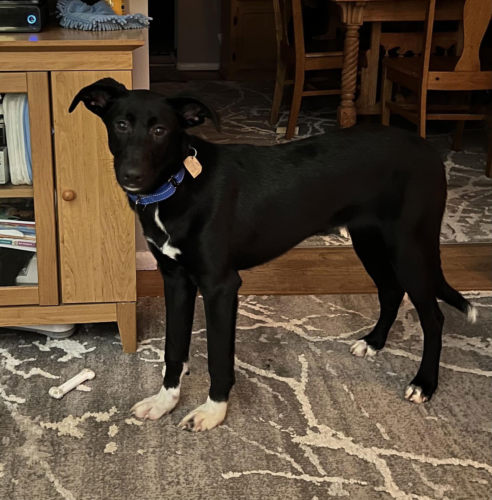 Gloria  The Sweetest thumbnail 3