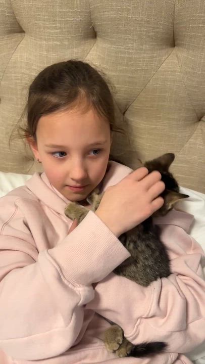 Enlarge Olaf is omg gorgeous!  What a living doll!, an adopted mixed breed in Bedford Hills, NY video 4/6