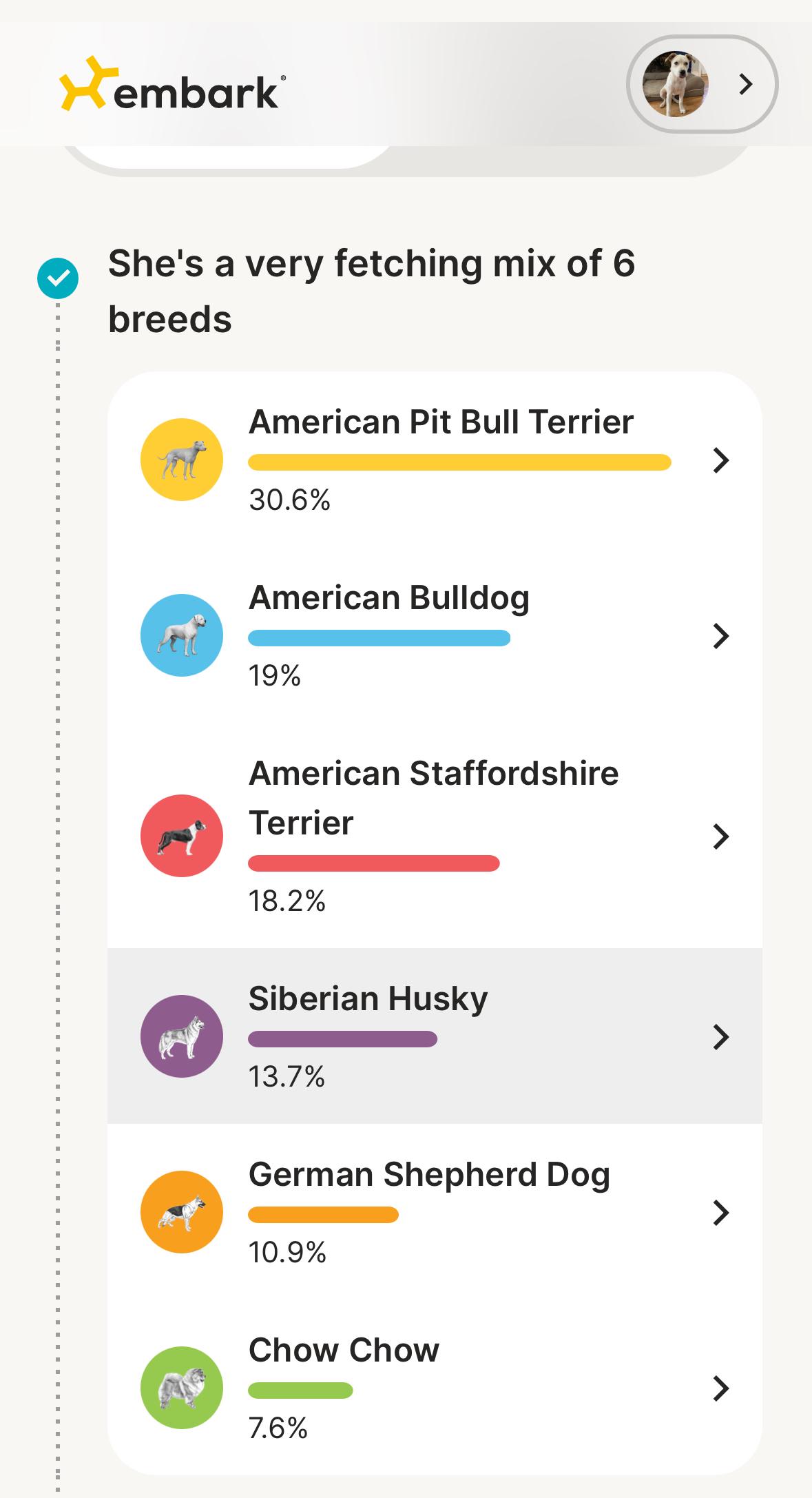 Lindy, a Adoptable mixed breed in Irmo, SC image 4/4