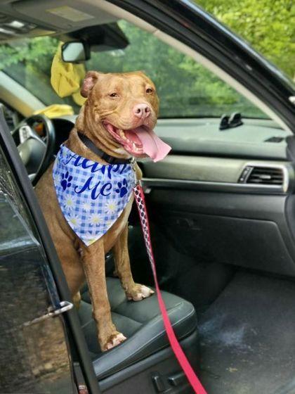 Rugby — thumbnail 3