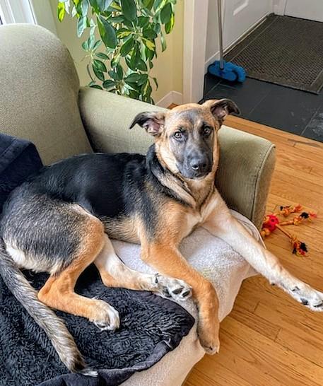 Gaia (20251010-04) — thumbnail 2