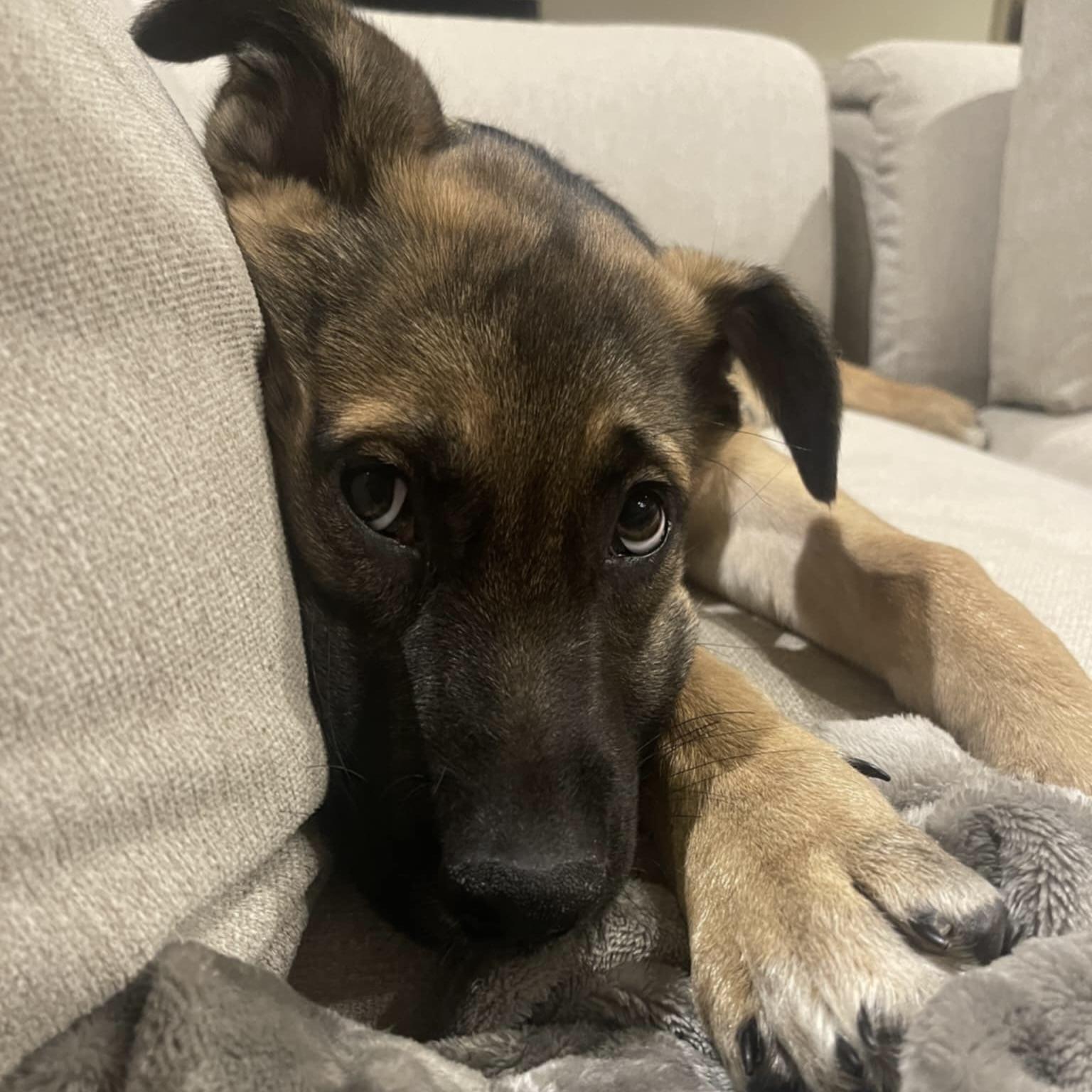 Gaia (20251010-04) — thumbnail 3