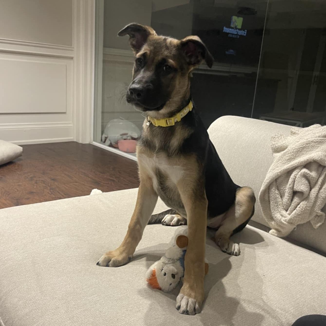 Gaia (20251010-04) — thumbnail 4