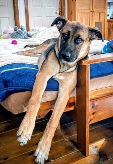 Gaia (20251010-04) — thumbnail 6