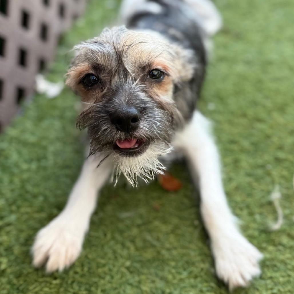 Marvelous Marvin thumbnail 2