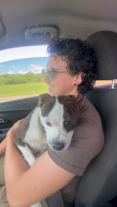 Enlarge Jimmy McNutty, a ADOPTABLE mixed breed in Pilot Point, TX video 3/5