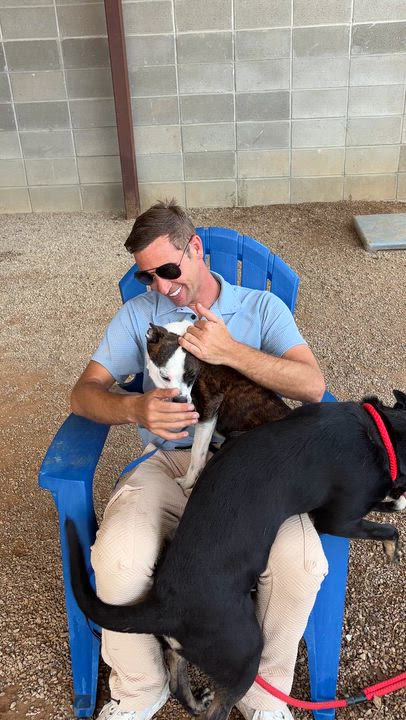 Enlarge Jimmy McNutty, a ADOPTABLE mixed breed in Pilot Point, TX video 5/5