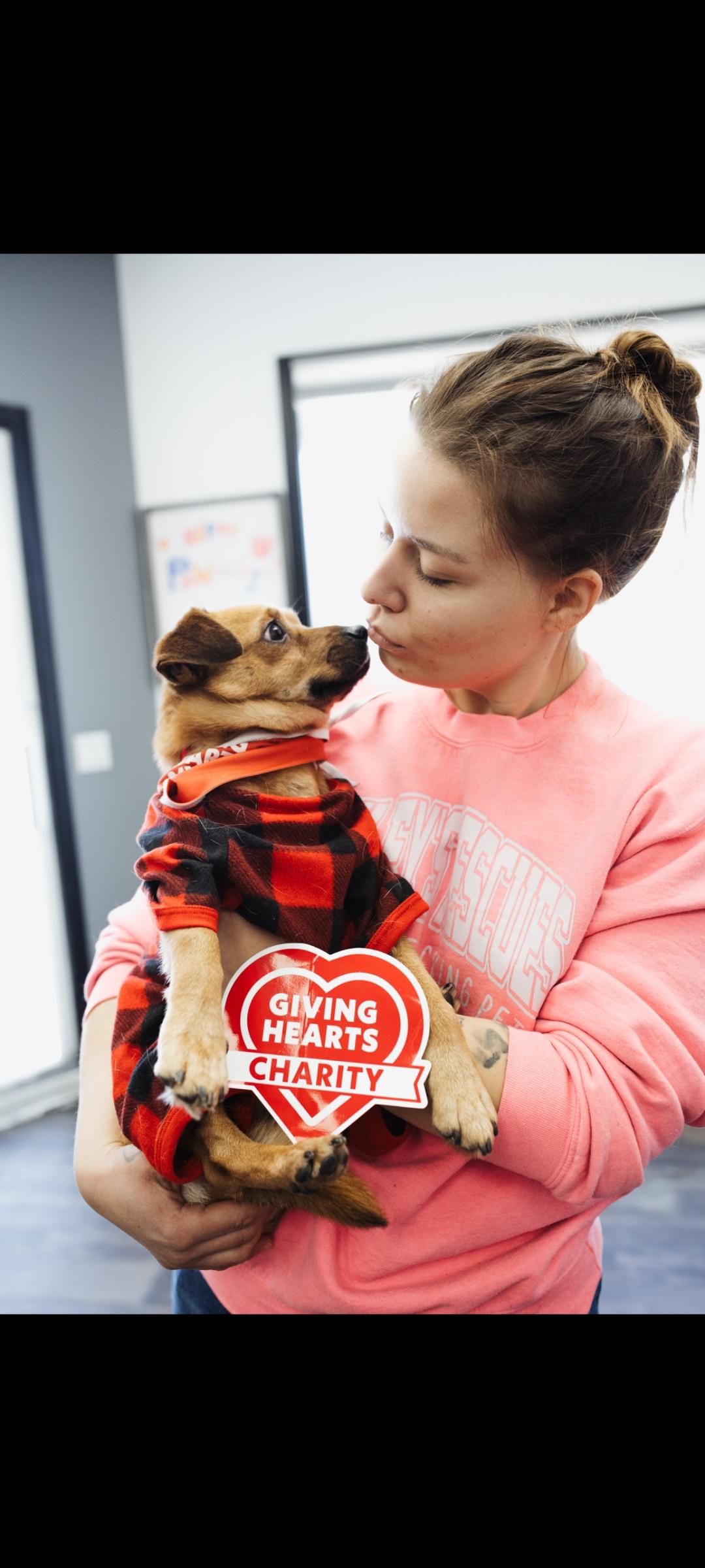 Enlarge Gary, a ADOPTABLE mixed breed in Fertile, MN image 1/2