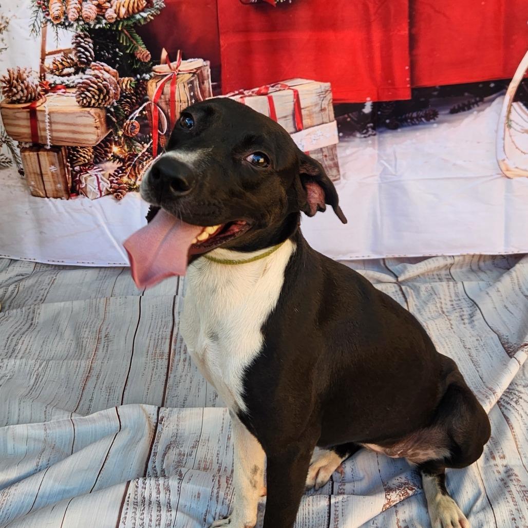 Shelly JuM — thumbnail 4