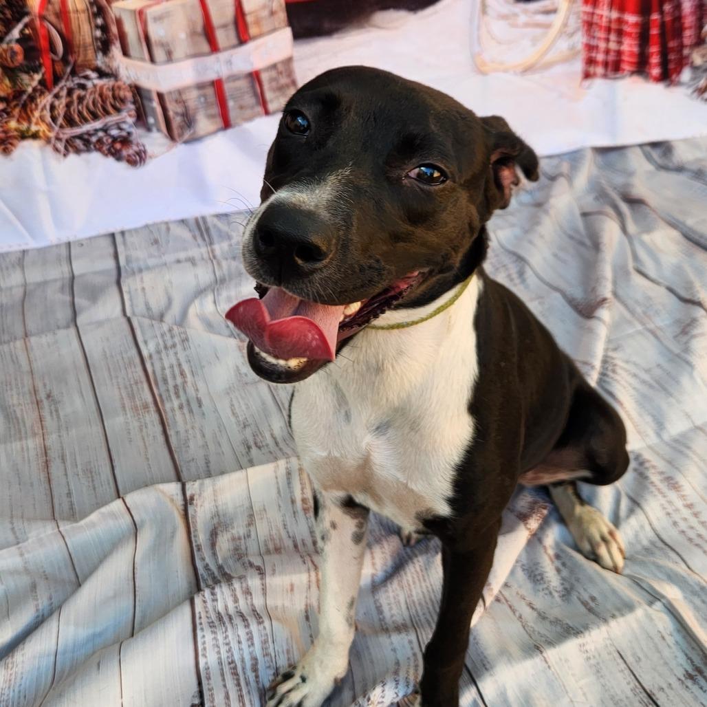 Shelly JuM — thumbnail 5