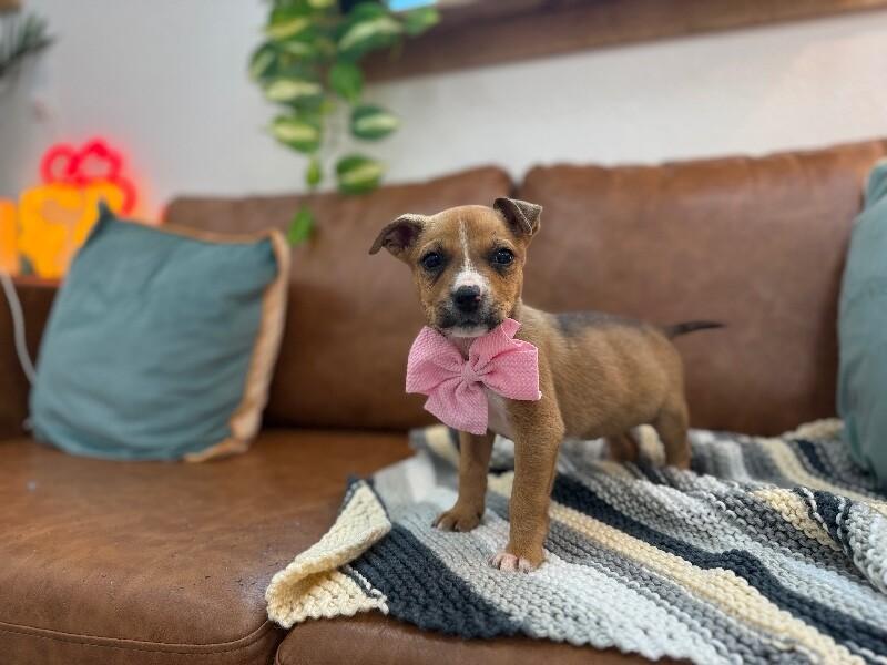 Nae Nae Baby — thumbnail 2