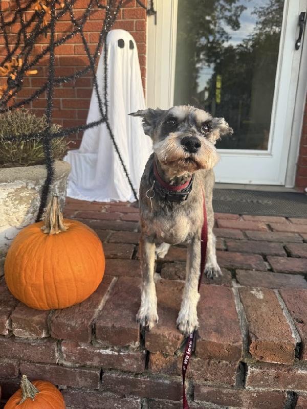 Captain Jack photo 1