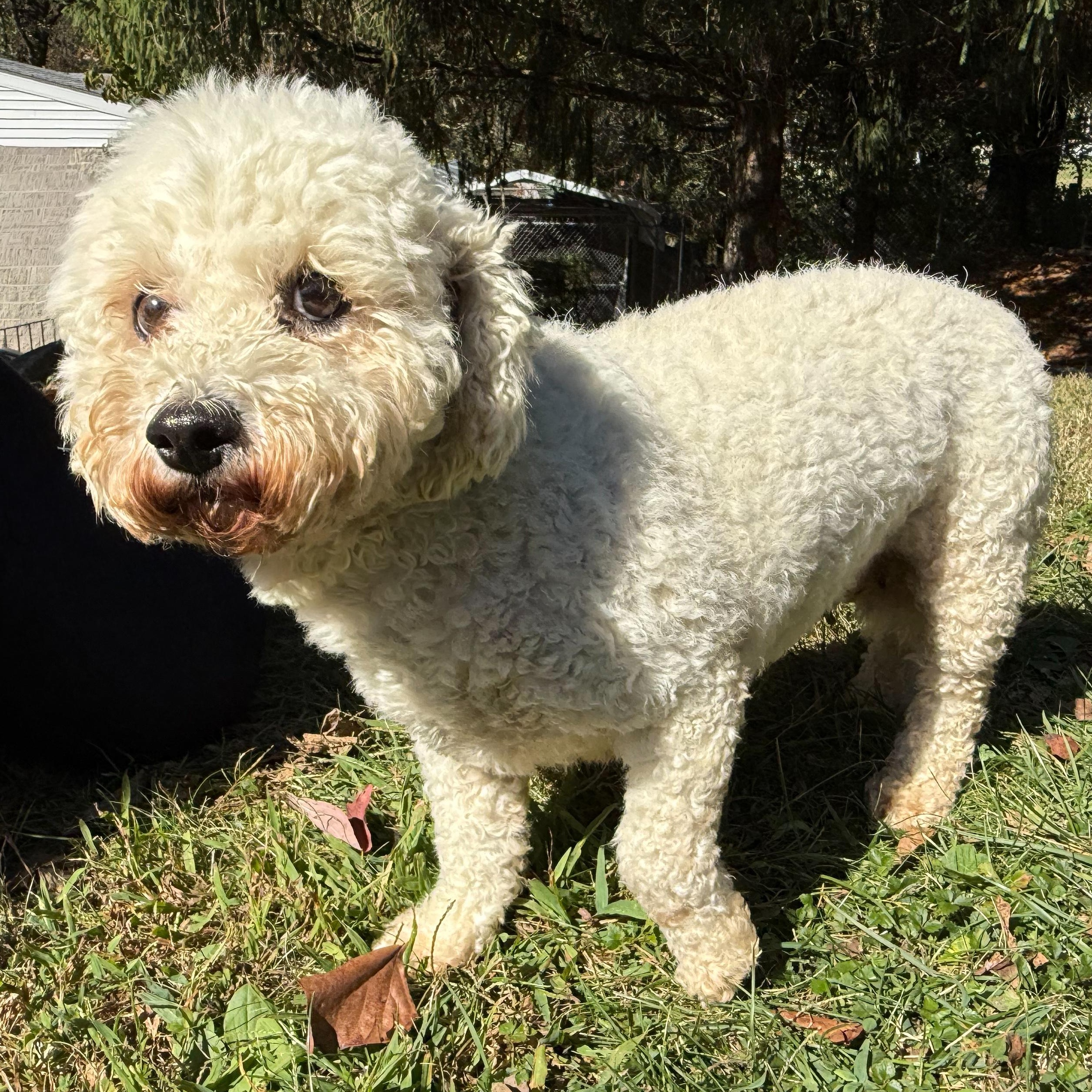 Berkeley thumbnail 3