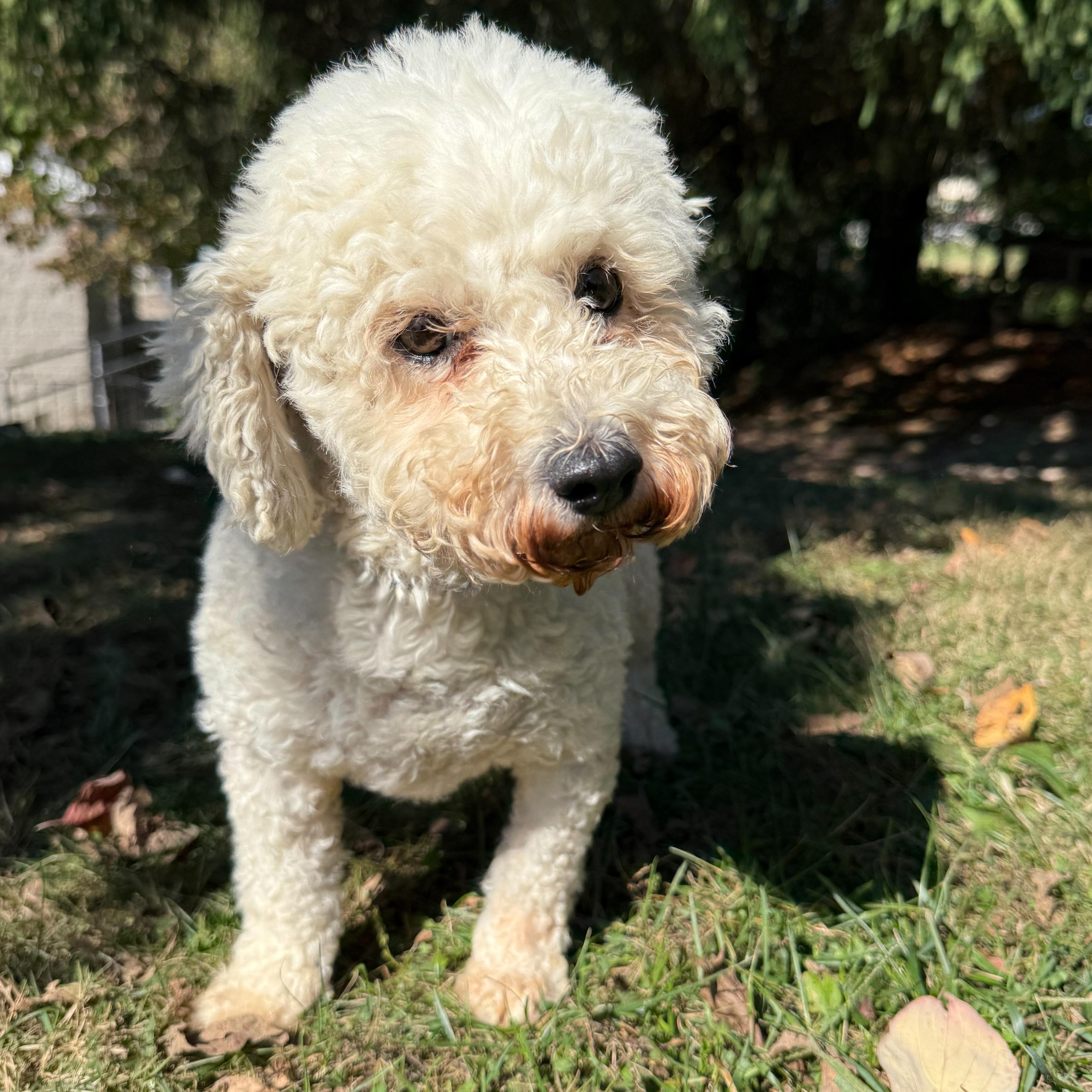 Berkeley thumbnail 4