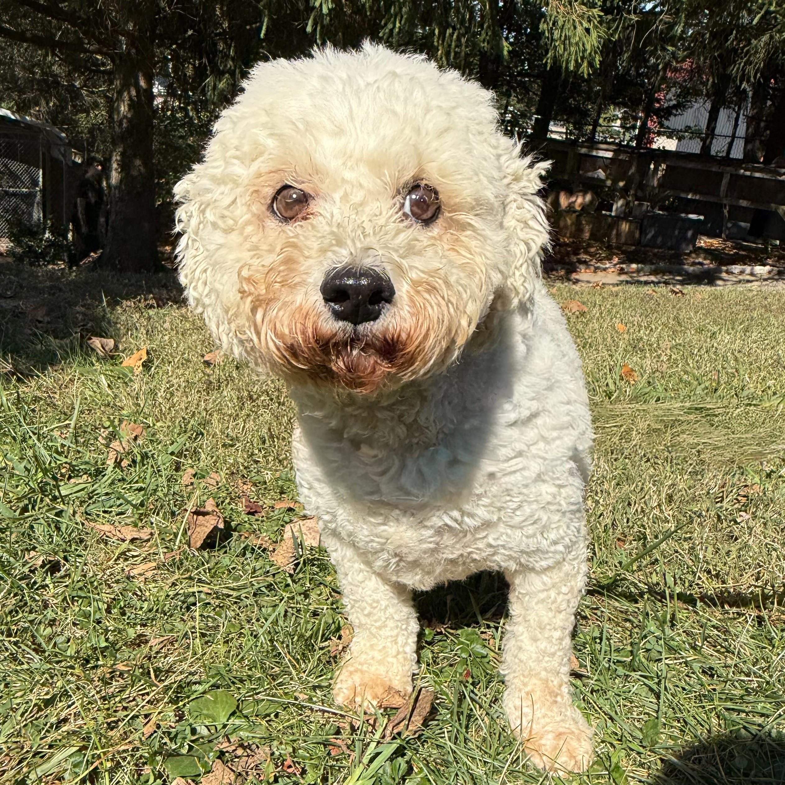 Berkeley thumbnail 5