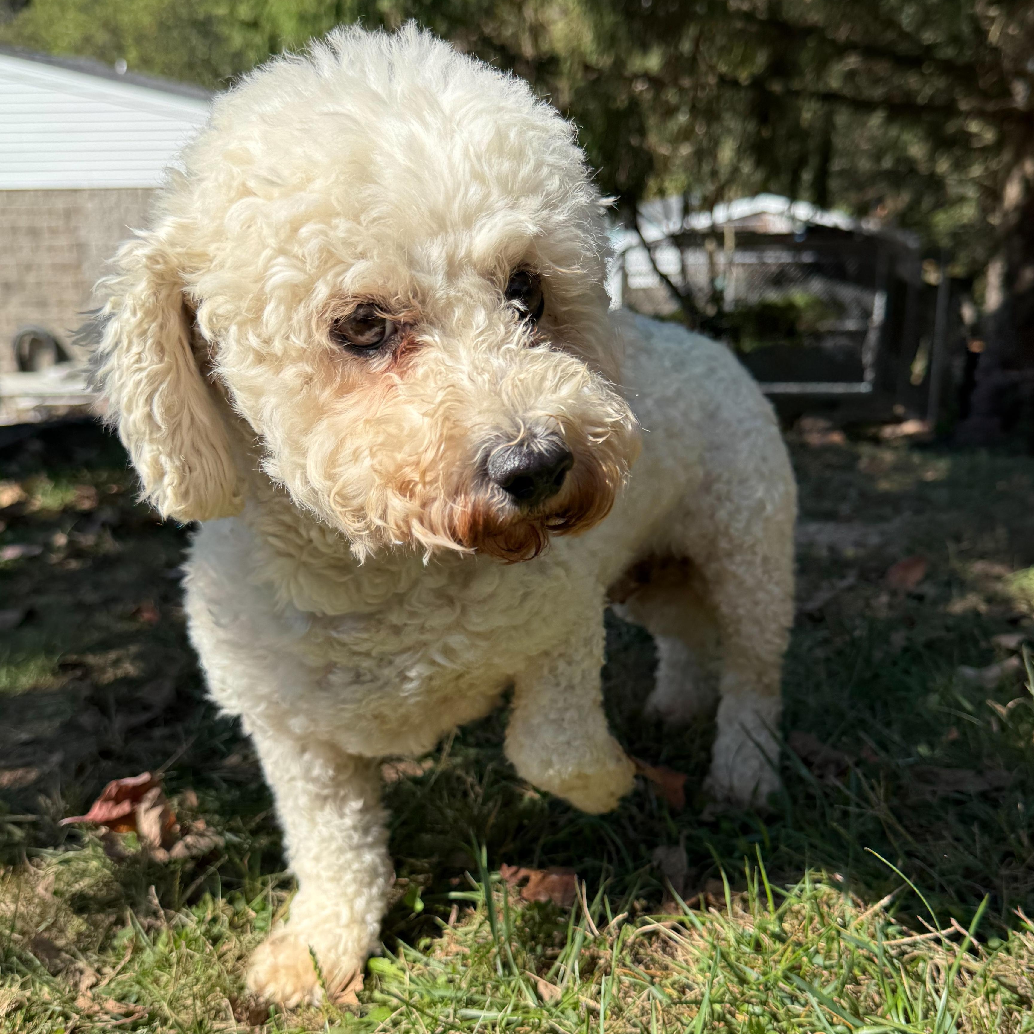 Berkeley thumbnail 6