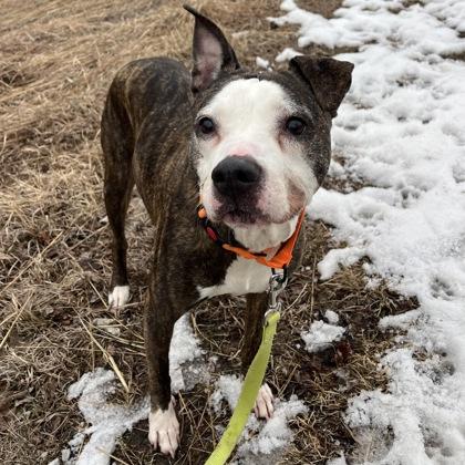 Leeoo — thumbnail 2