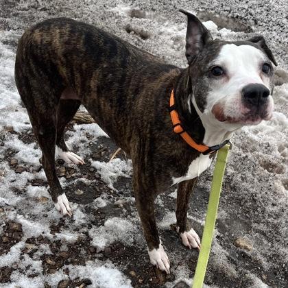 Leeoo — thumbnail 3