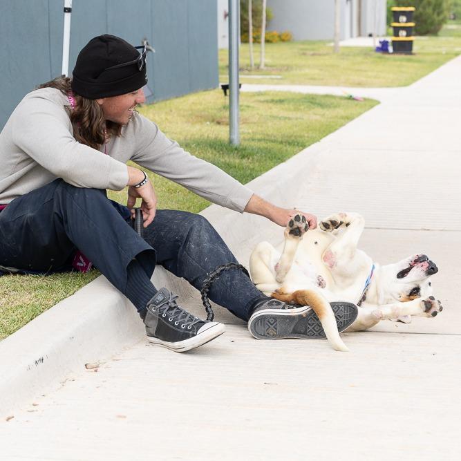 Enlarge Luca, a Adoptable Mixed Breed in Abilene, TX image 4/6