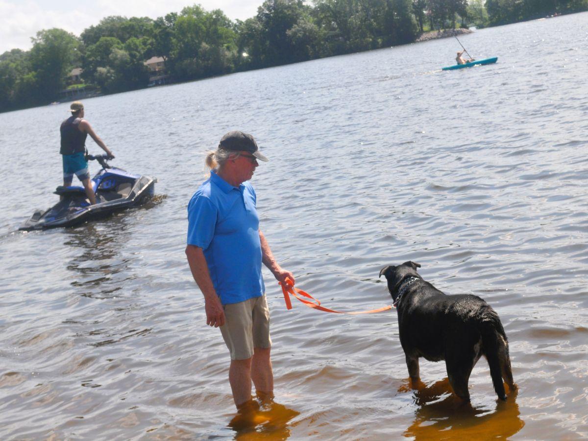 Enlarge RAINEY, a Adoptable mixed breed in Elk River, MN image 4/6