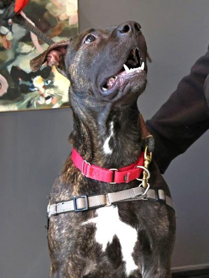 Wiggles — thumbnail 2