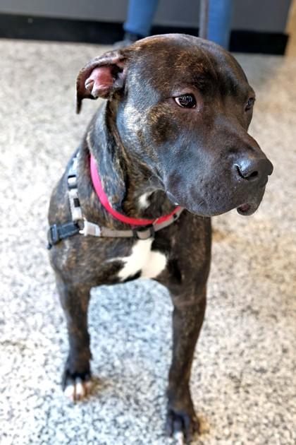 Wiggles — thumbnail 3