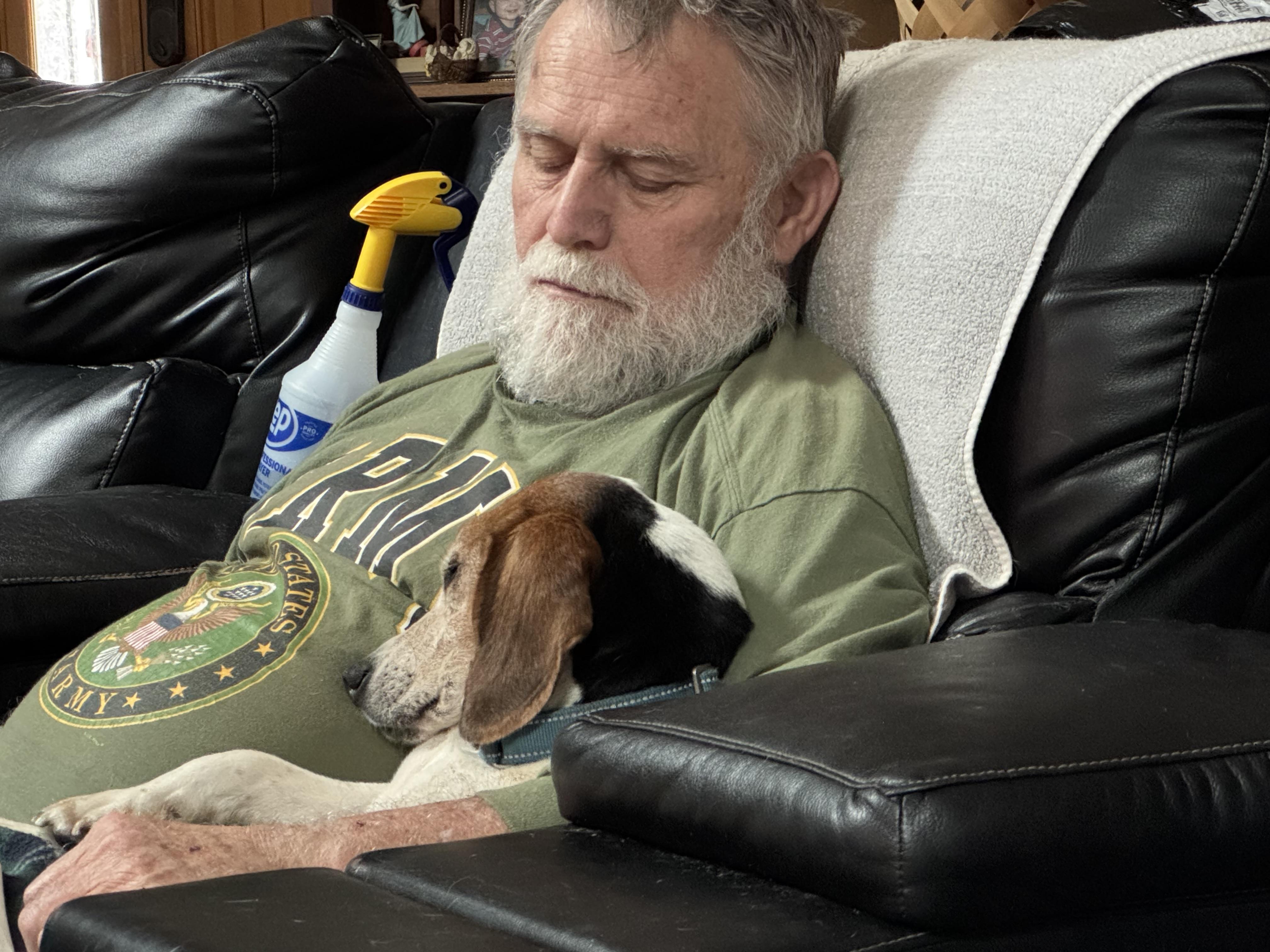 Enlarge Colten, an adopted Beagle in Grandy, NC image 4/4