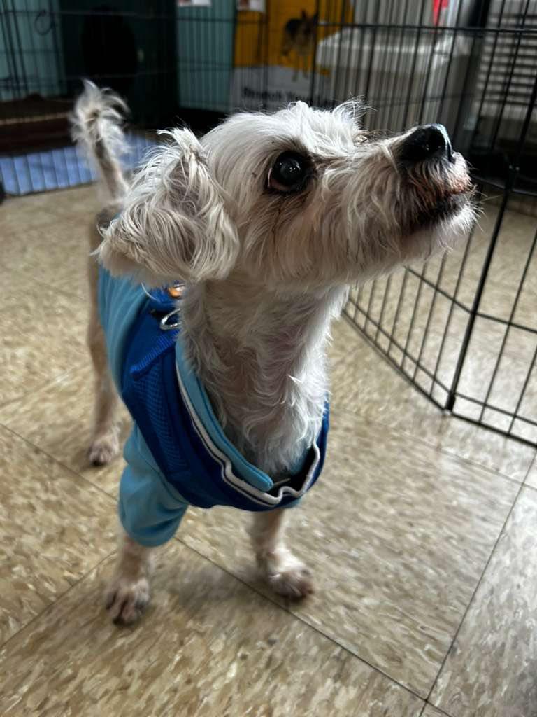 Bravo — thumbnail 4