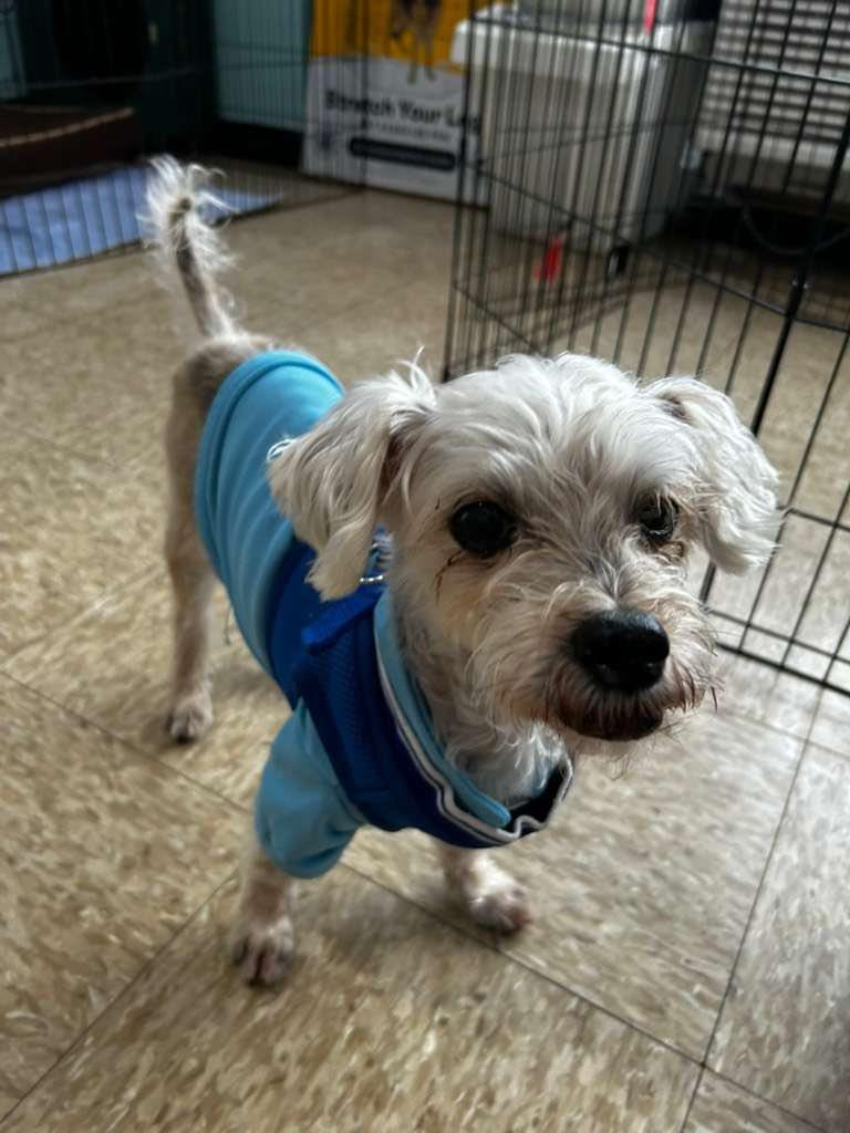 Bravo — thumbnail 5