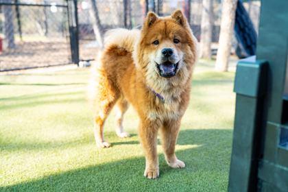 Freckles — thumbnail 2