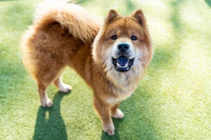 Freckles — thumbnail 3