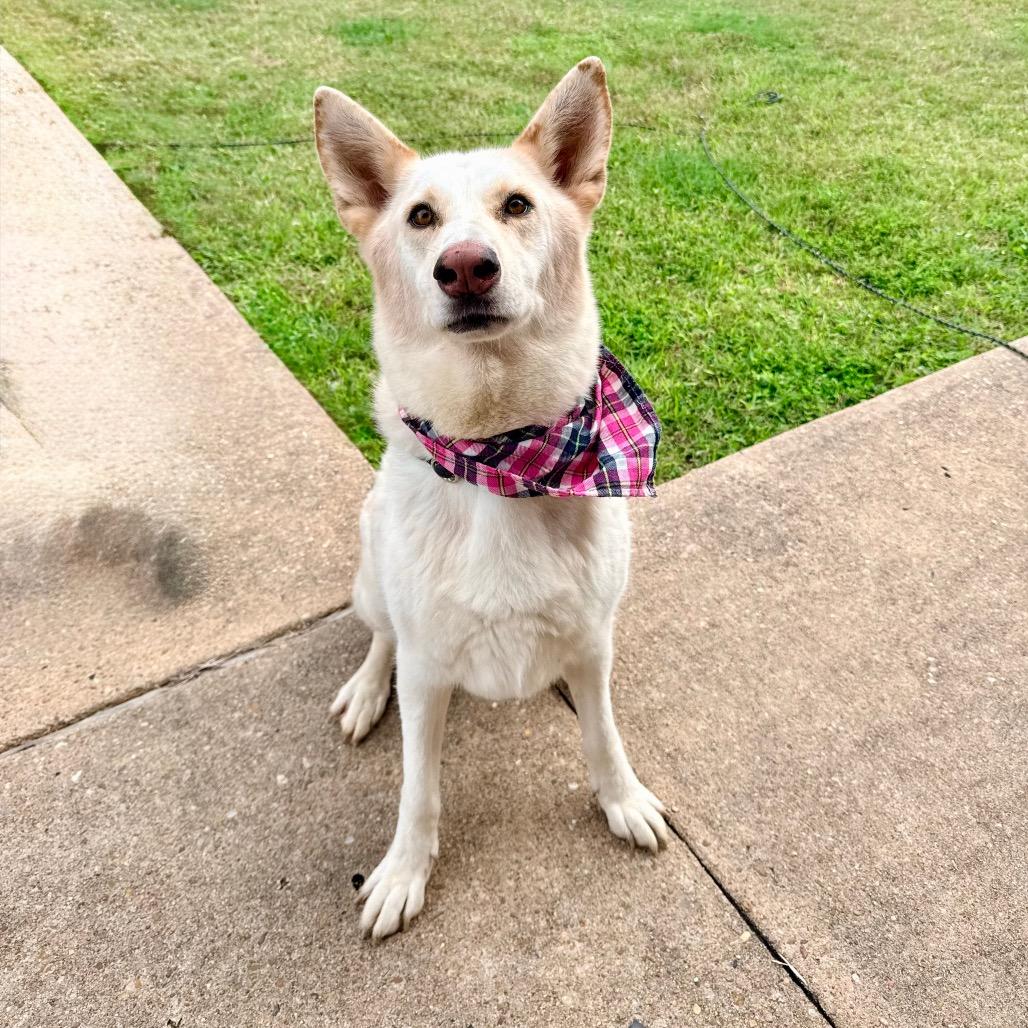 Katrina — thumbnail 3