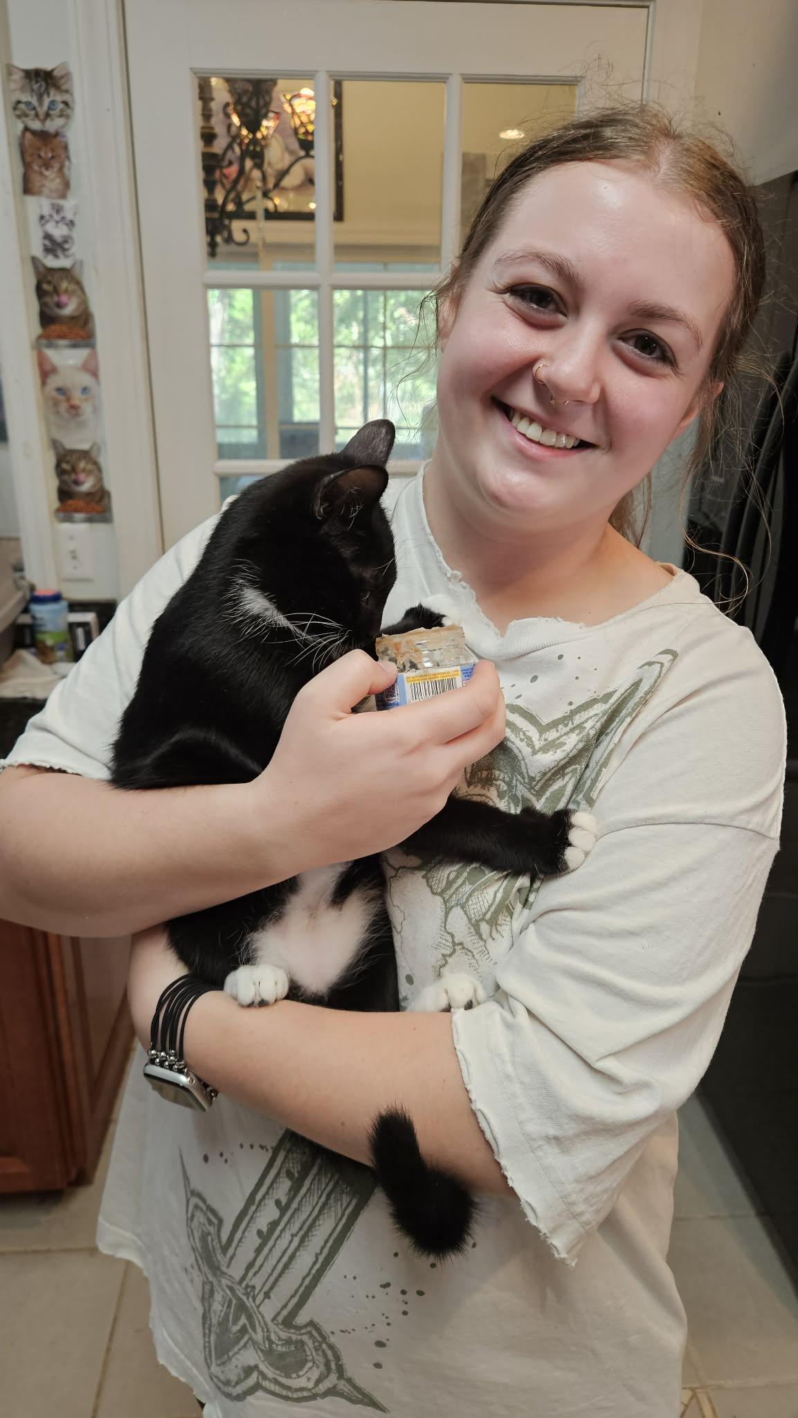 Prada, adopted, Kitten Female Domestic Short Hair.