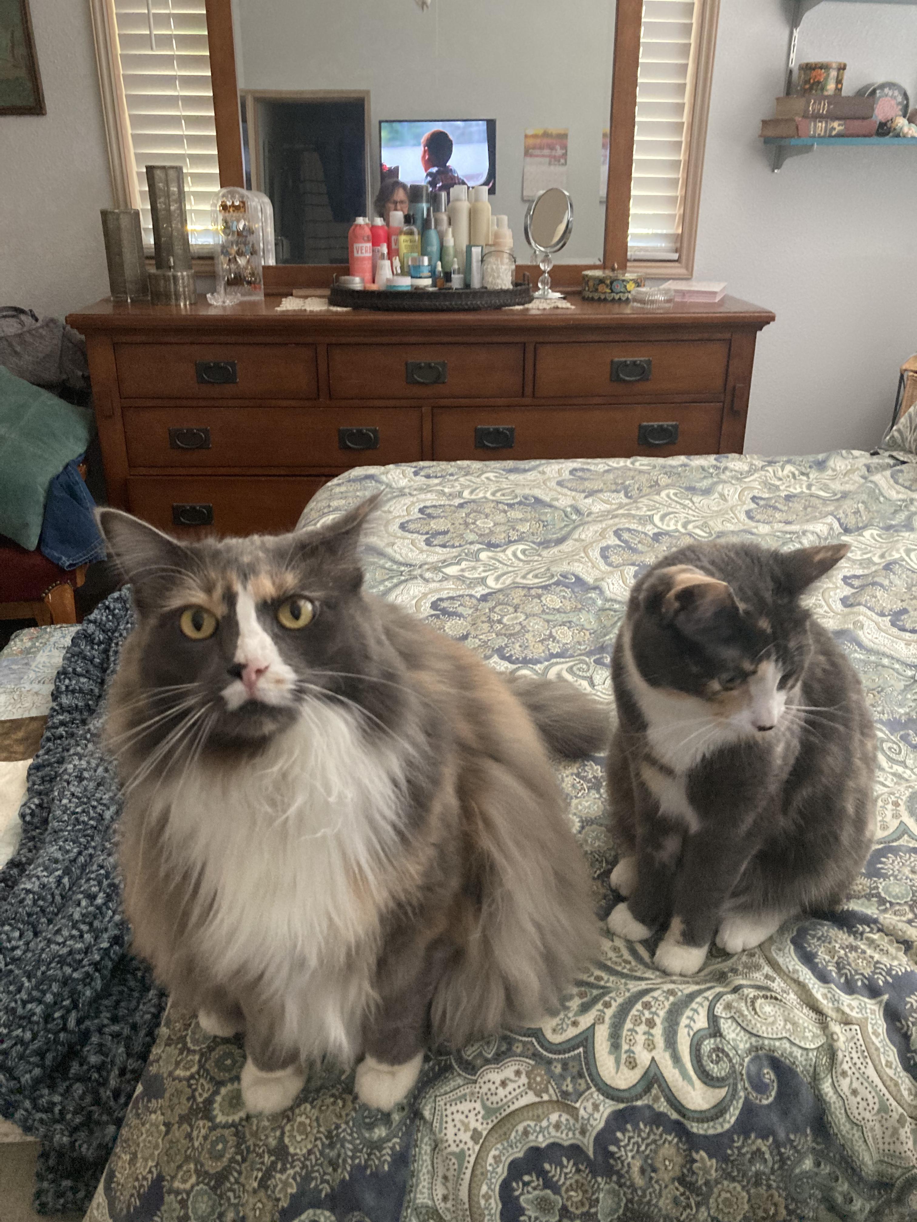 Kiki and Chloe